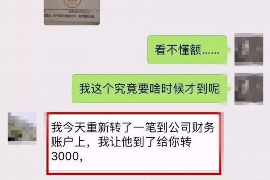 长葛为什么选择专业追讨公司来处理您的债务纠纷？